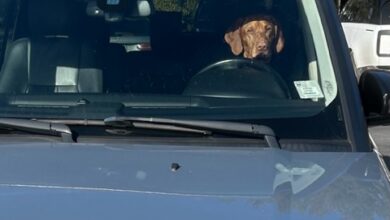 Roundup: Rink Ring, Hillspoint Homes, Newman’s Own …