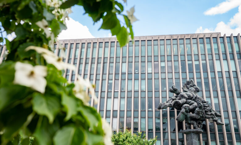 A Global Leader in Human Rights Career Advising