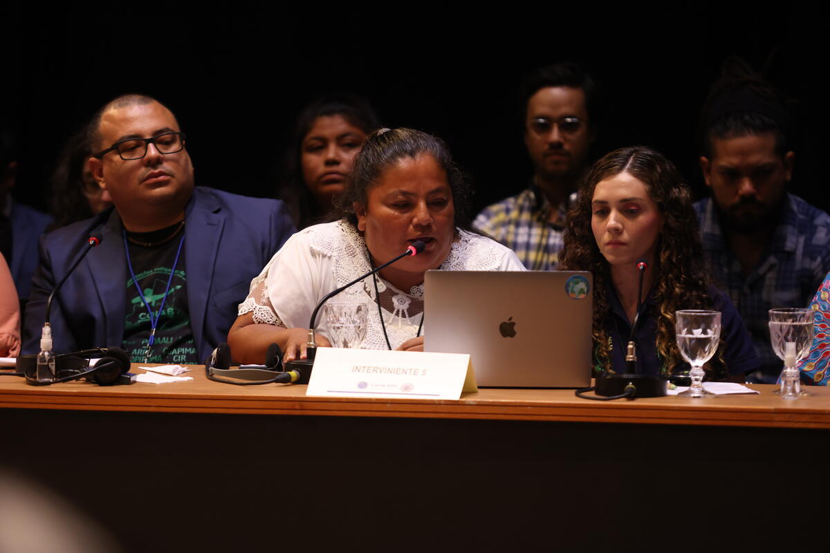 El Bosque Community Testimony before the Inter American Court of Human Rights in Manaus, Brazil. © Gustavo Graf / Greenpeace El Bosque Community Testimony before the Inter American Court of Human Rights in Manaus, Brazil. © Gustavo Graf / Greenpeace
