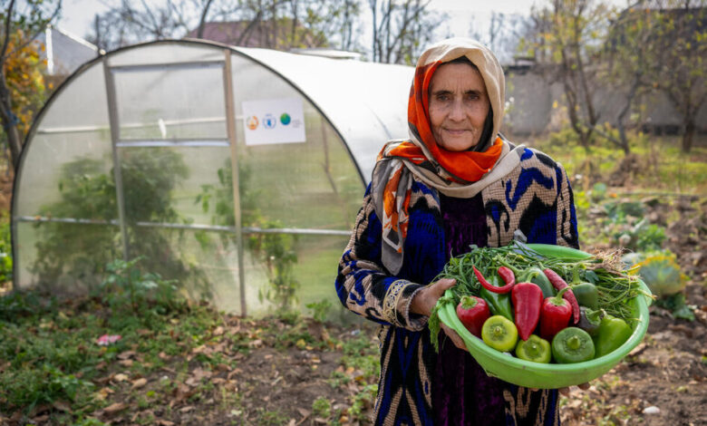WFP at a Glance | World Food Programme