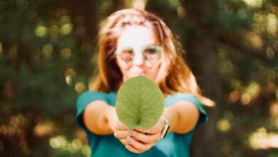 Looking for Ways to Support Environmental Charities? Here’s How to Raise Money