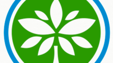 The Best Middle Eastern Charities Providing Global Development Funding