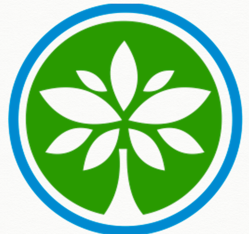 The Best Middle Eastern Charities Providing Global Development Funding