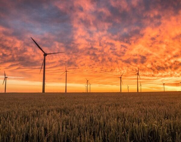 Your Future as an ESG Pioneer Your Future as an ESG Pioneer