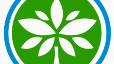 Earn Big for Your NGO: Top Grants You Can Apply for Today