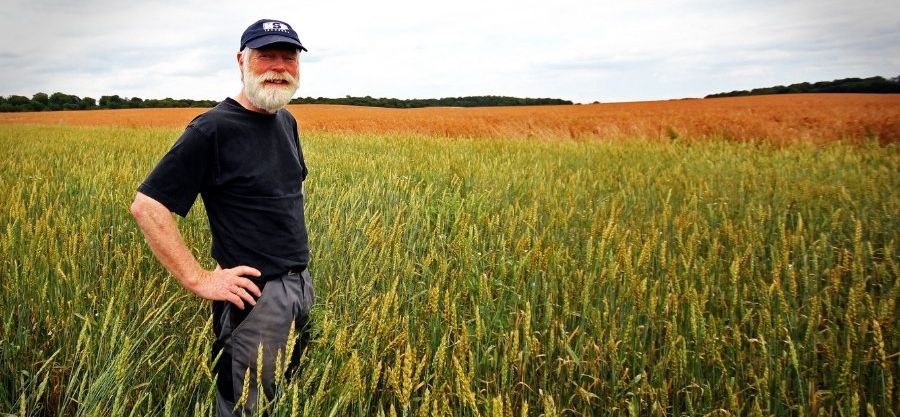 farmer, conservatives, liberals, right and left, politics